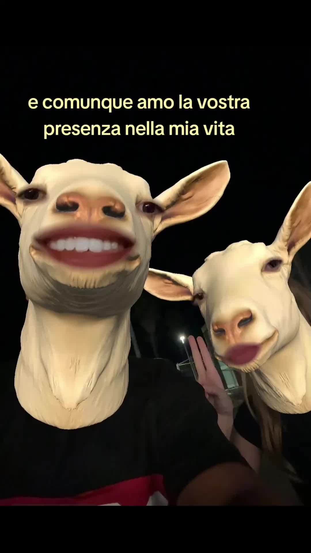 @asia_spamm
