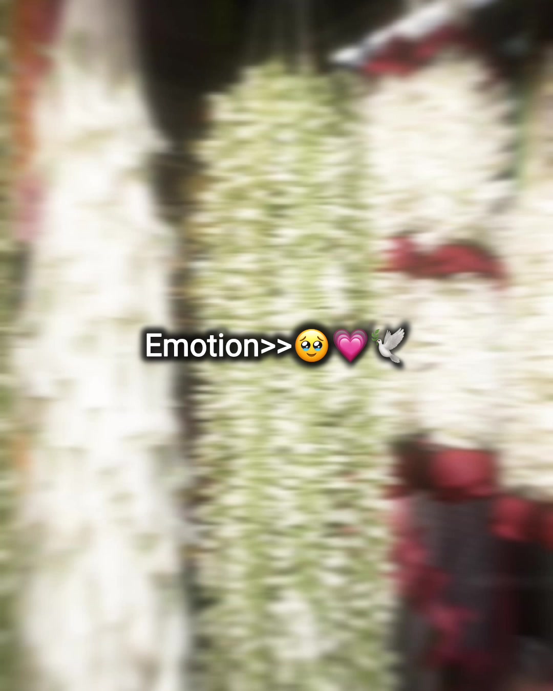 @-  𝐈𝐒𝐑𝐀𝐓_!ᥫ᭡🪐🧚&zwj;♀️