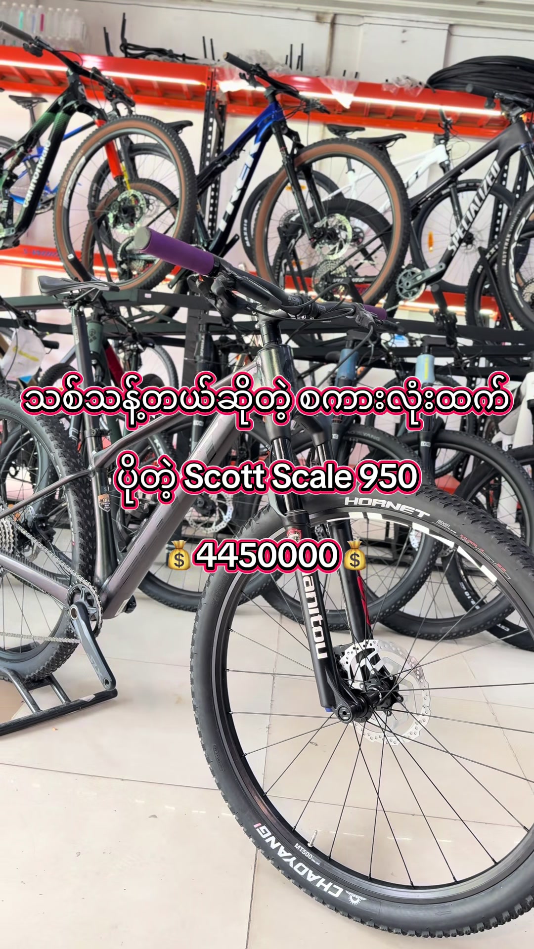 @SEIN&ensp;PAN&ensp;BIKE&ensp;SHOP