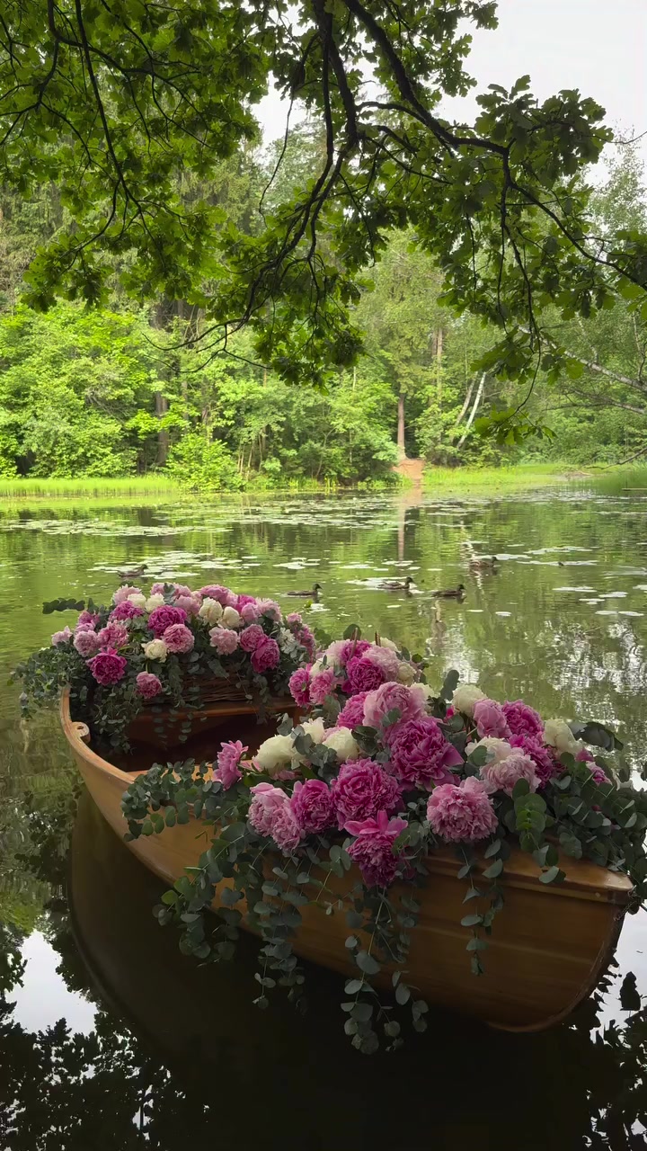 @aestheticvideo