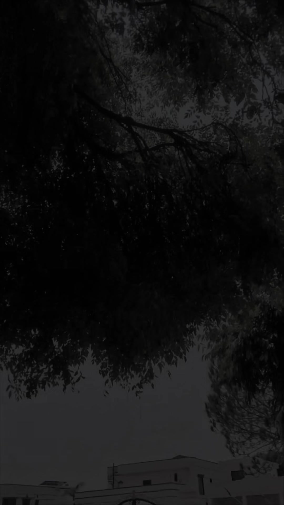 @𝙨𝙝𝙖𝙧𝙞𝙦⚡️