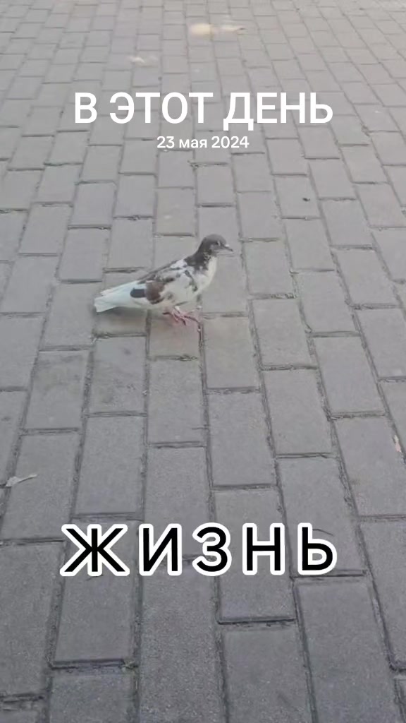@💕 𝓜𝓐𝓛𝓘𝓝𝓚𝓐 💕