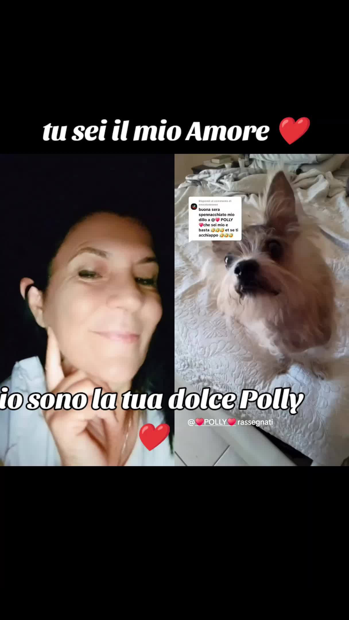 @♥️ POLLY ♥️