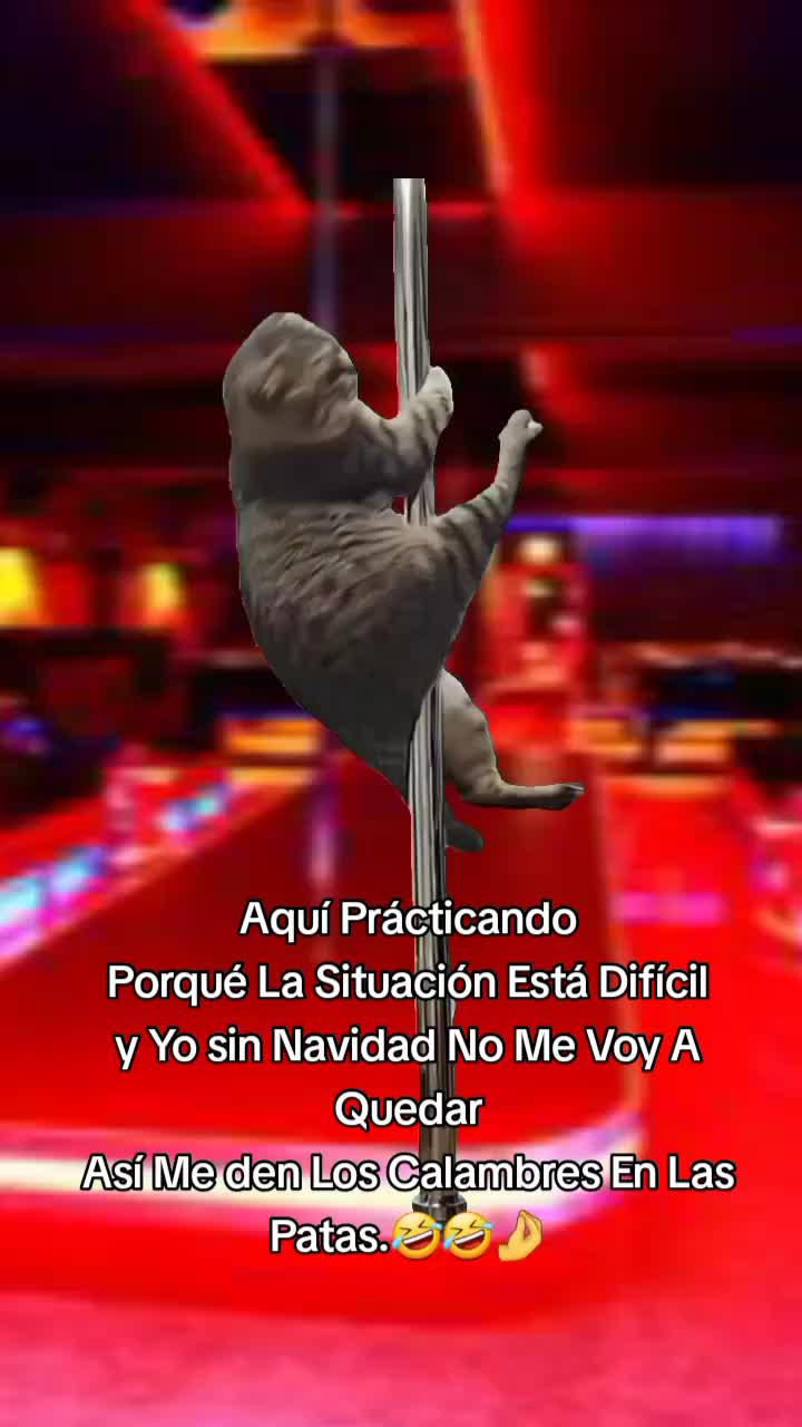 @🍒beb&eacute;sita preciosa💎