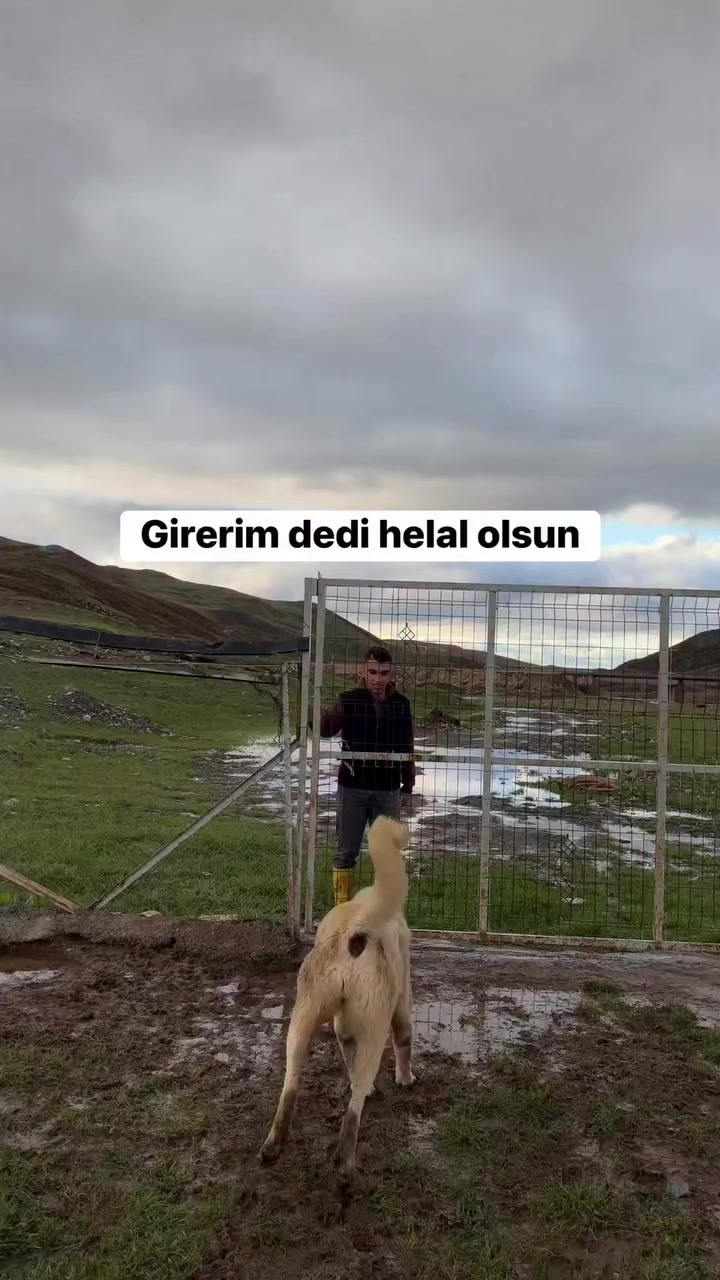@Fırat yalçın Sevgi
