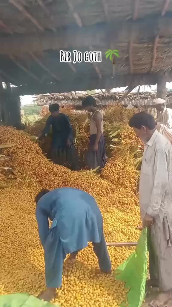 @FARMAN KANHAR 💙💫☑️
