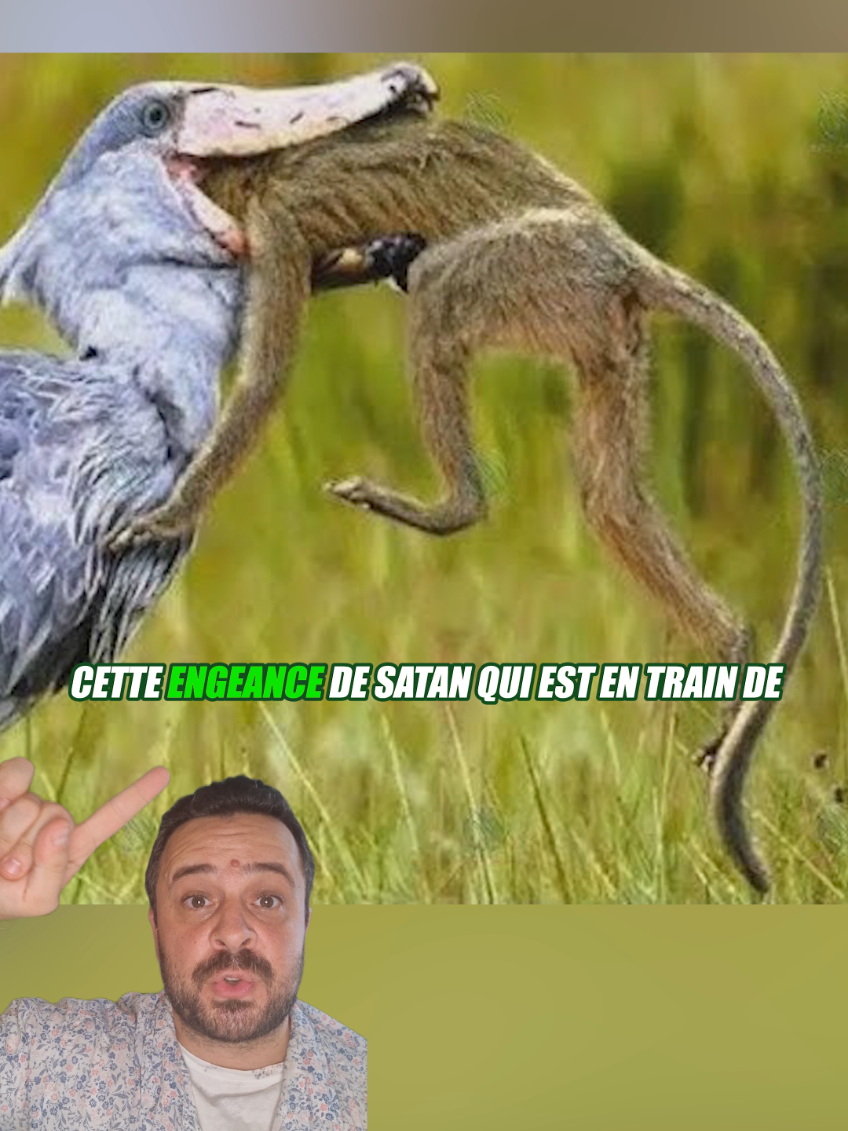@Vico-Le Savais tu ?
