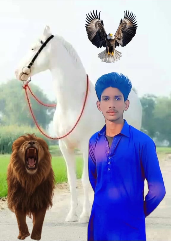 @شبير۔اوڏ