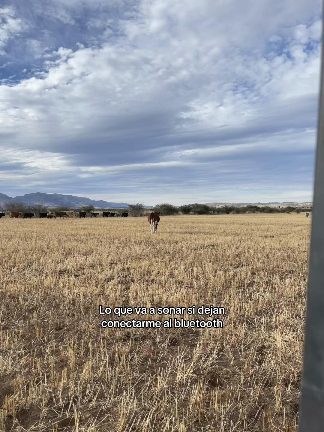 @JuaNito