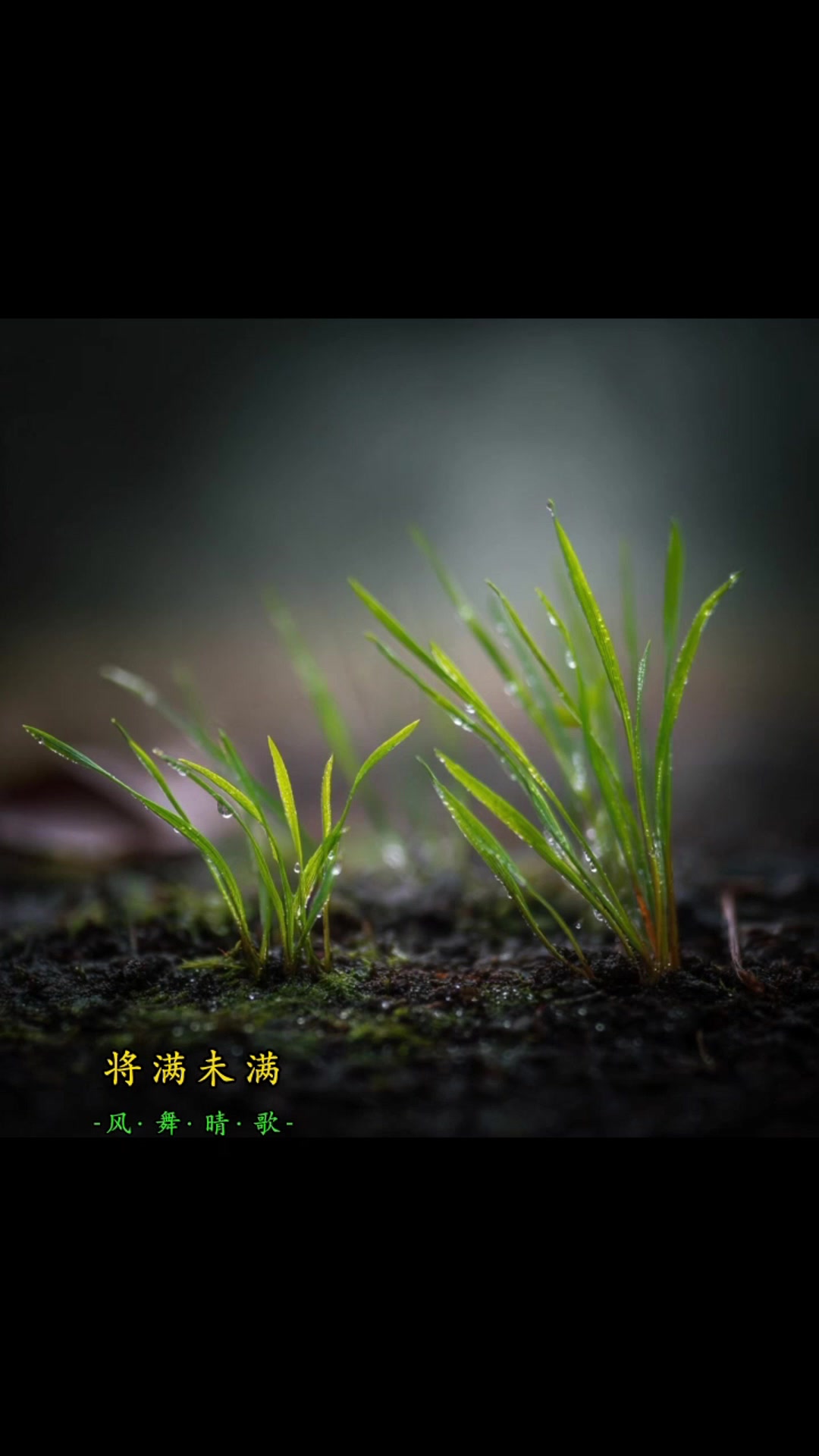 @风&middot;舞&middot;晴&middot;歌