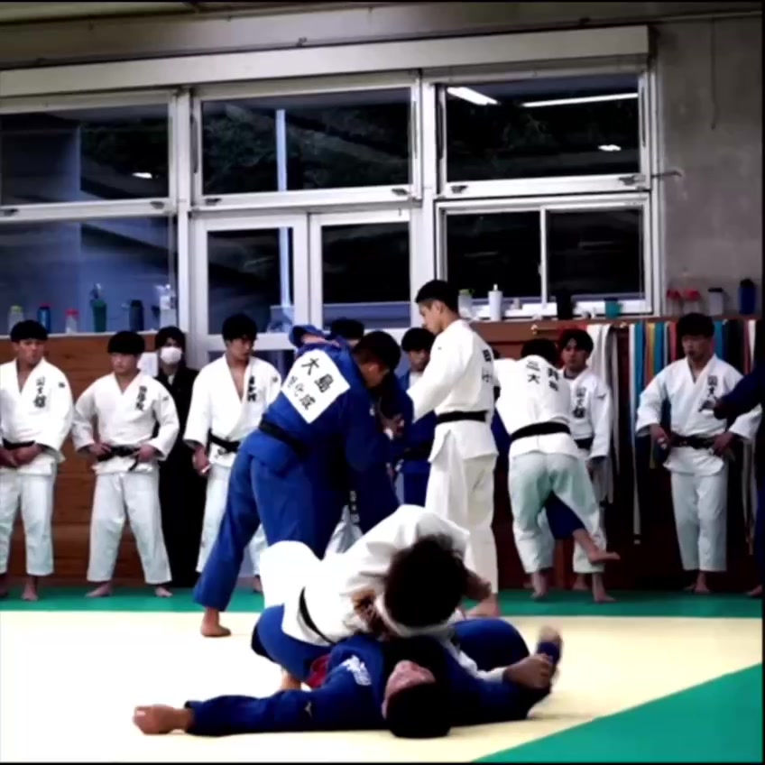 @mir_judo