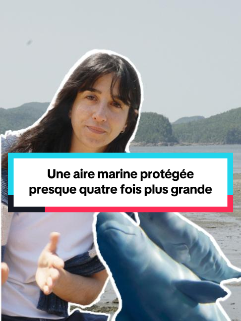 @Radio-Can au Bas-Saint-Laurent