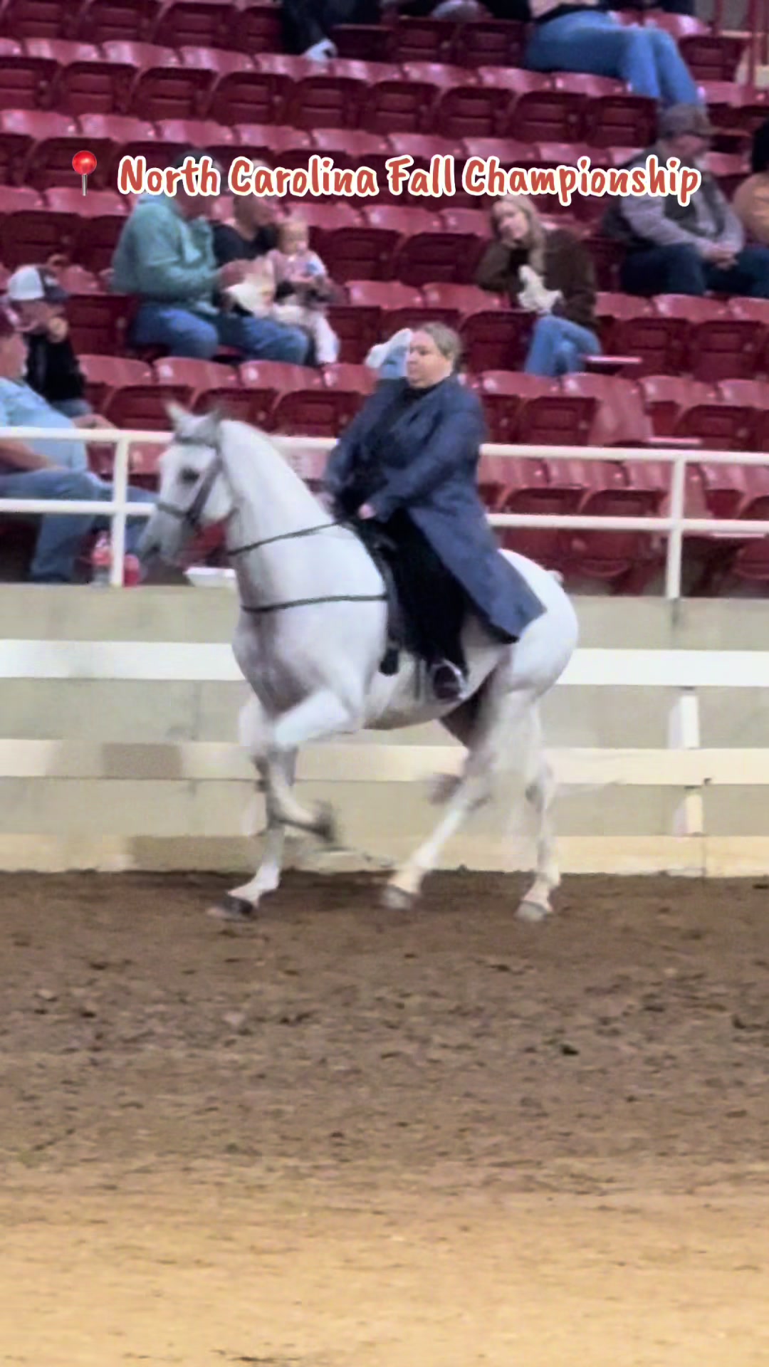 @EightyDollarStables