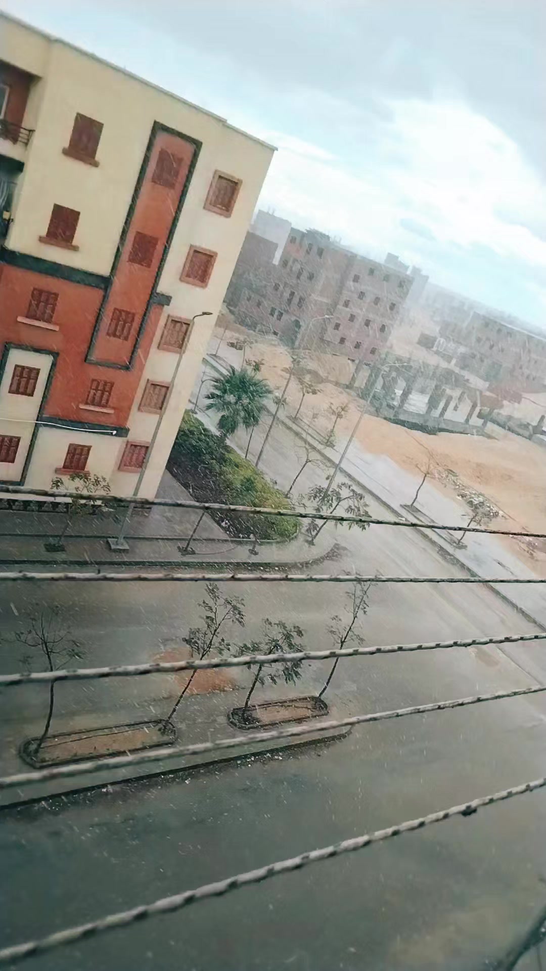 @Mai Mohamaed