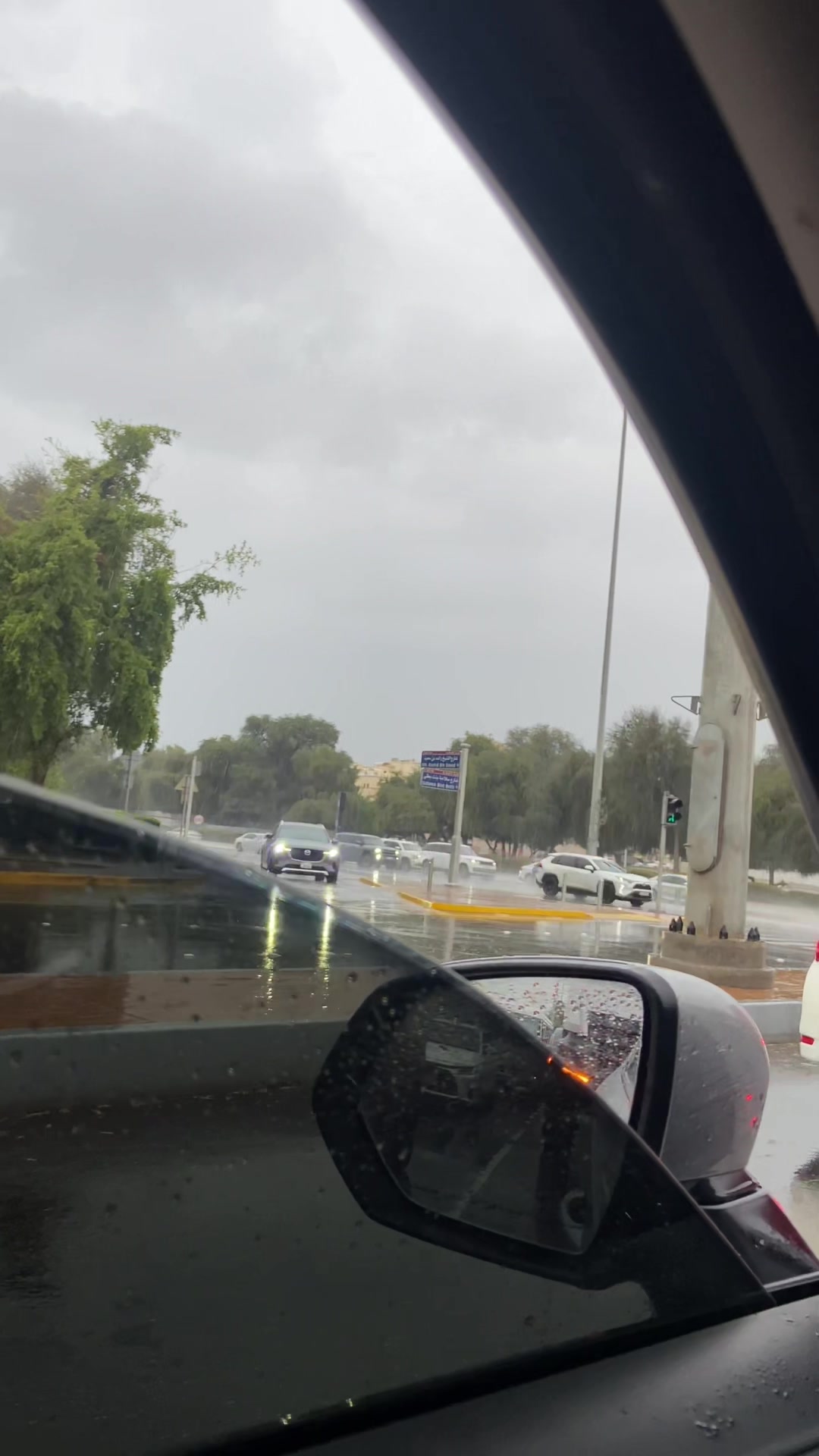 @سياف على خيل🦁