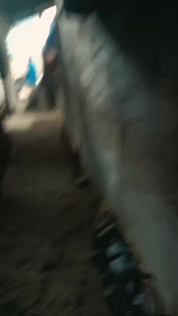 @MASTER_CORT