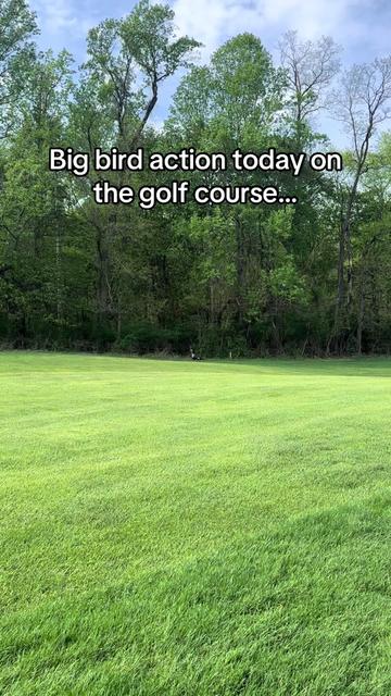 @🦌🏌️⛳️Bucks&Birdies⛳️🏌️🦌