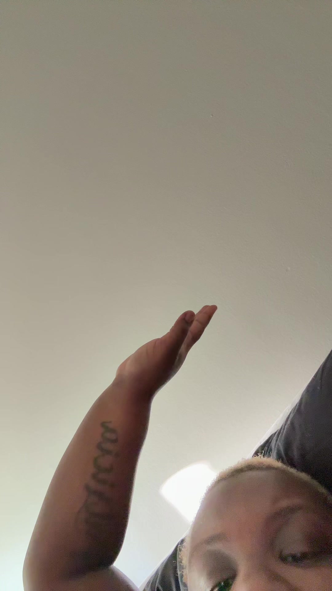 @disnotbree