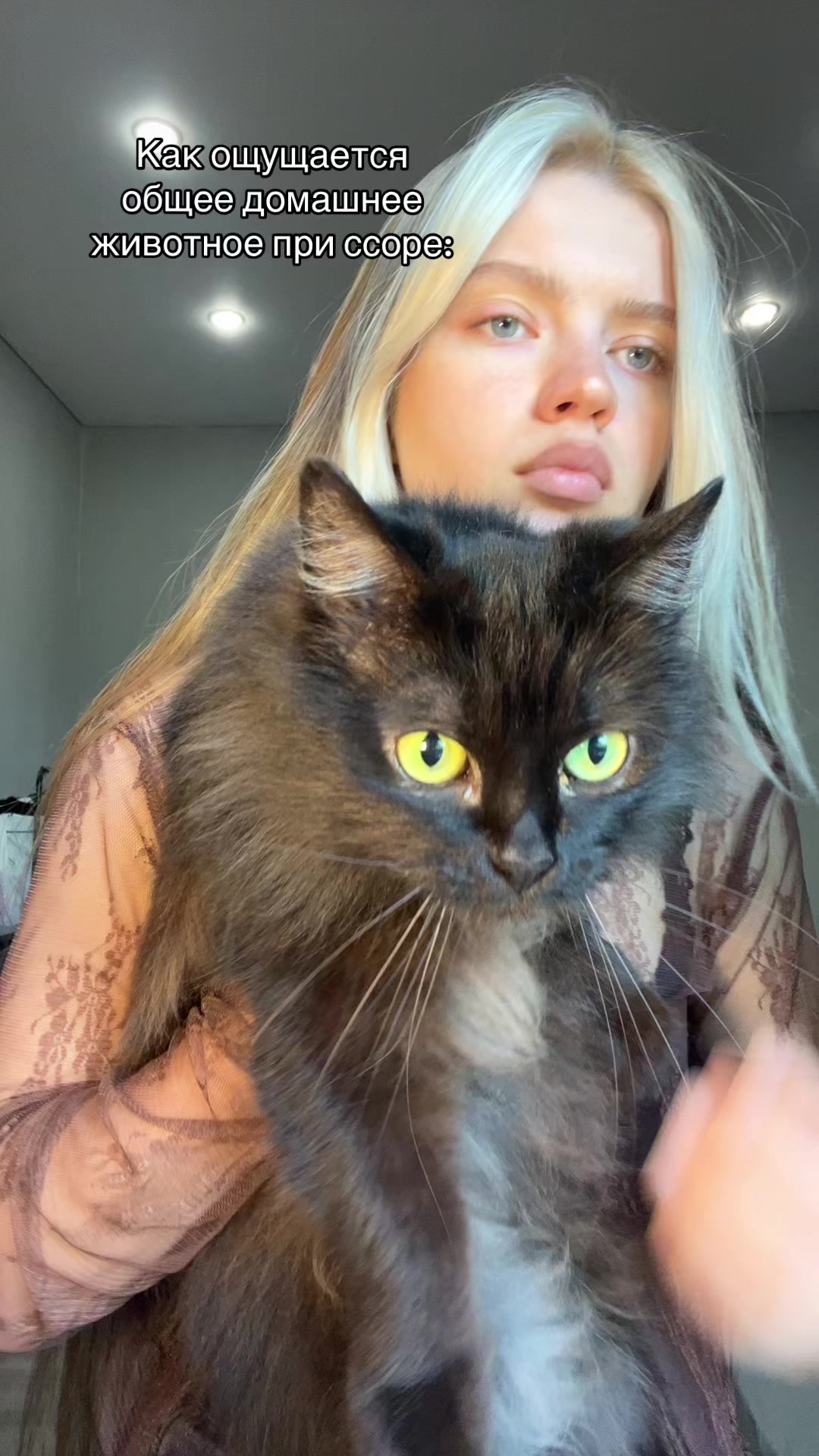 @ДеВоЧкА кОкЕтКа🐣💞