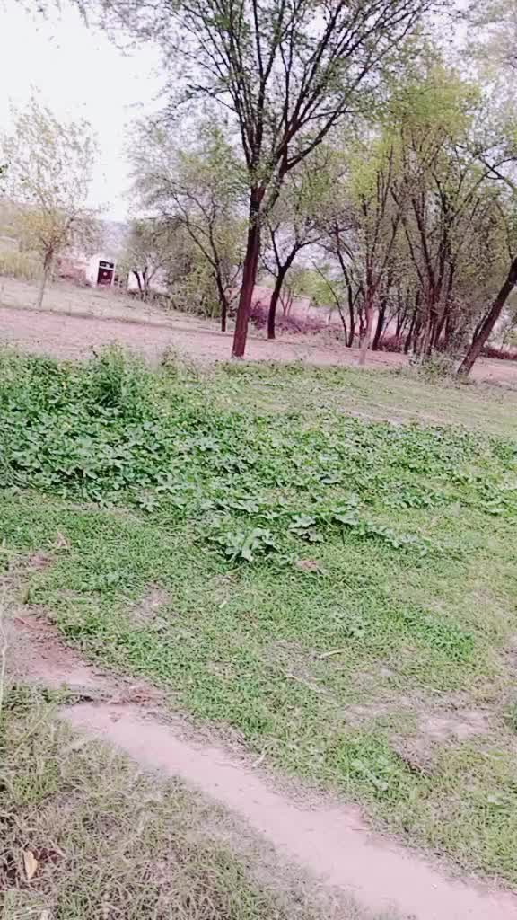 @akh balkate