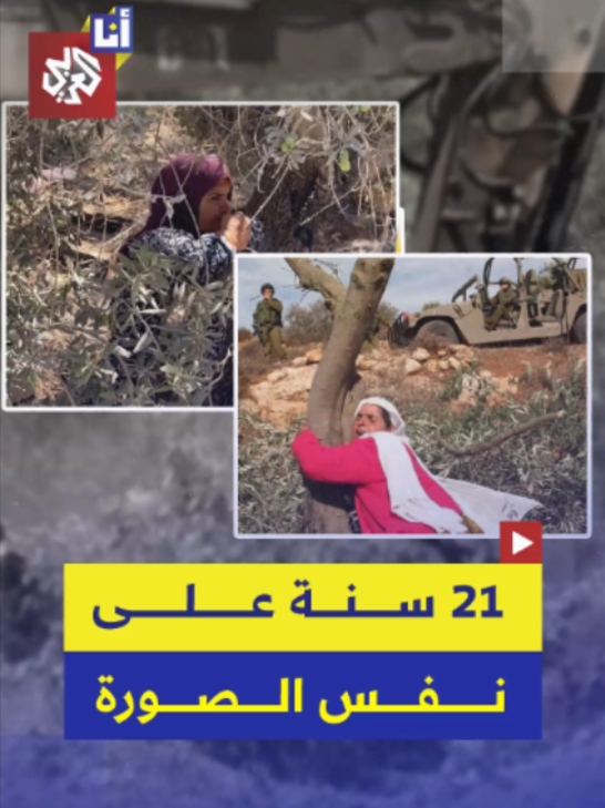 @التلفزيون العربي