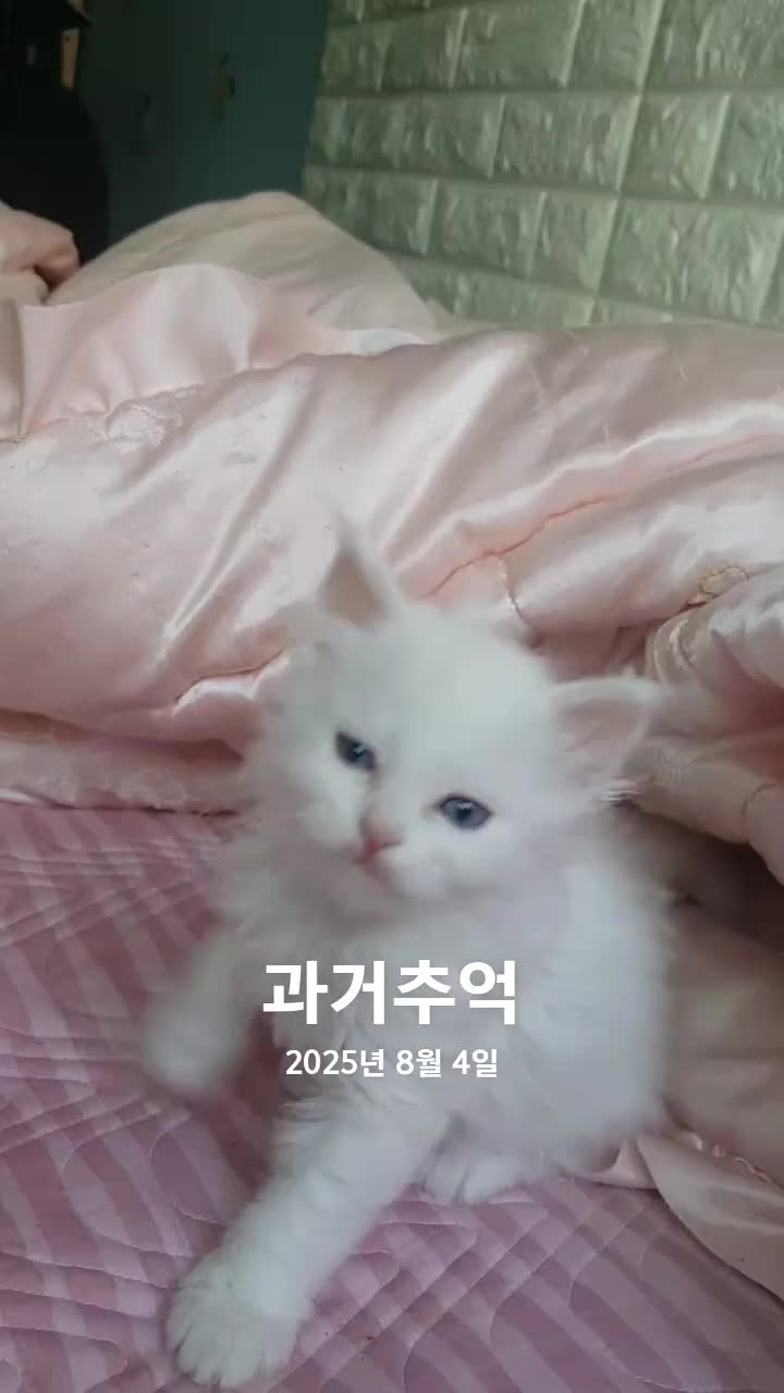 @๐ฉต๋ฅ๋ฅ์ดํ์ฐ์ค 14๋ฅ2๋ฉ๐