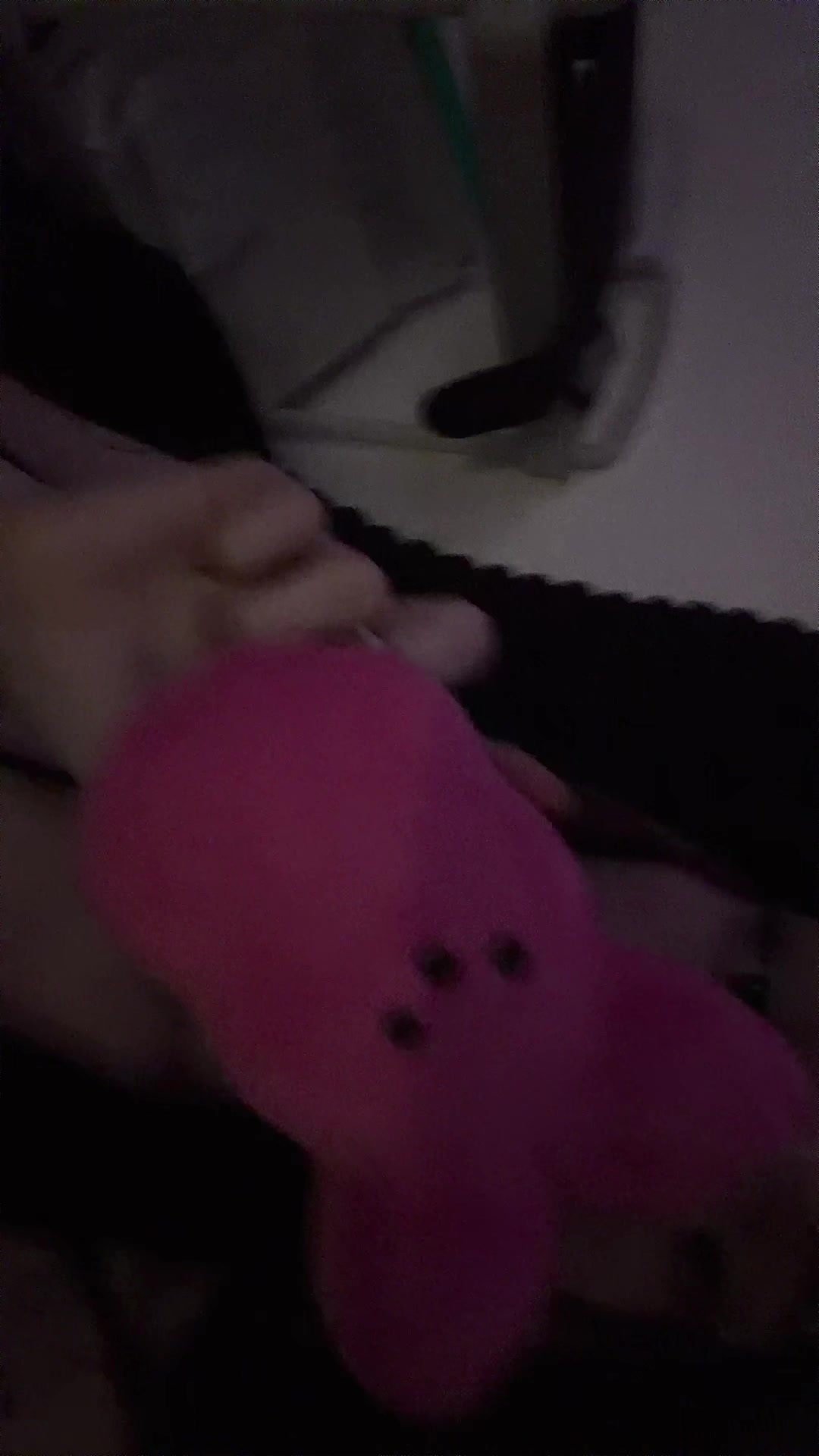 @ᡕᠵデᡁ᠊╾━ 𝔯𝔞𝔠𝔥𝔢𝔩 𖦏