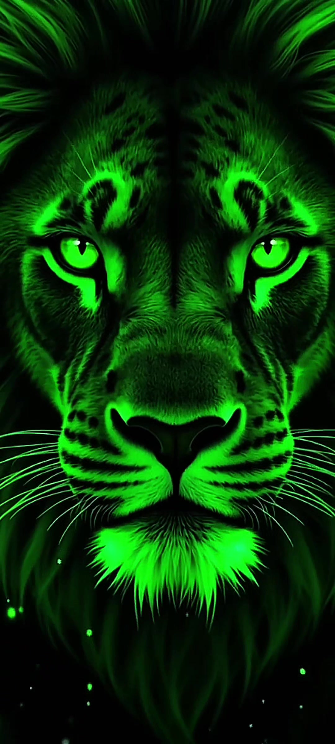 @Live wallpaper