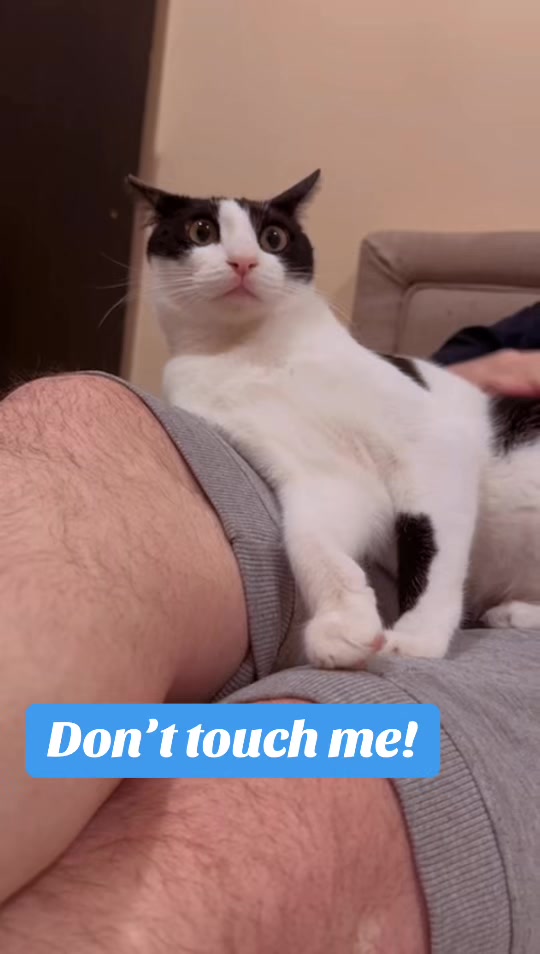 @Father5cats