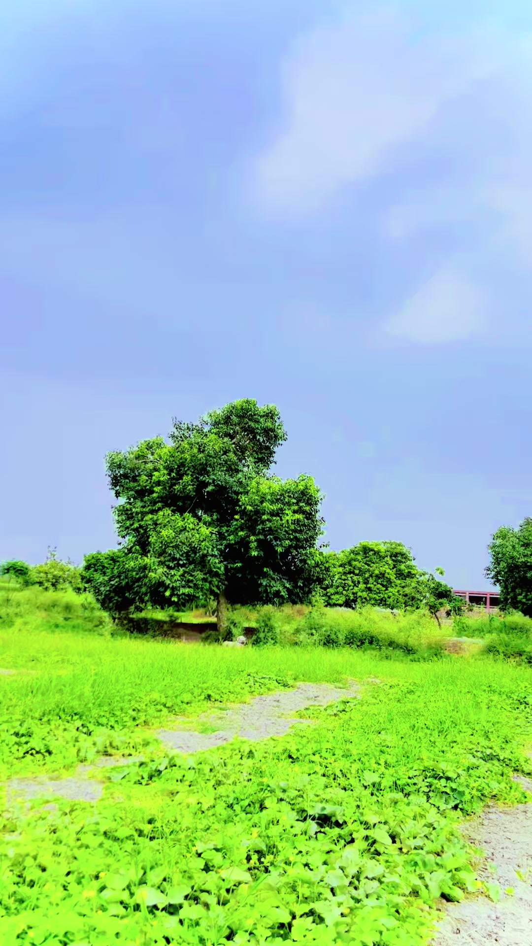 @Badar Wattoo