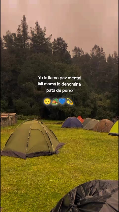 @Nando.👮🏻♂️💙🇪🇨