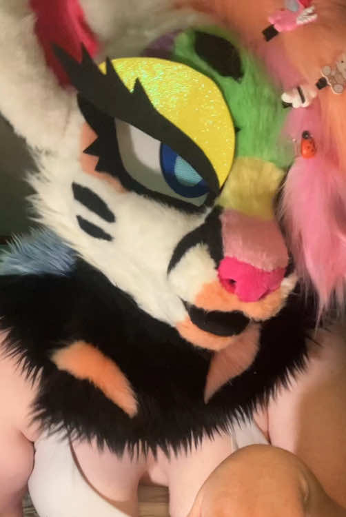 @Liger~Liger🐾🍉