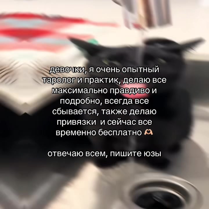 @prtarr0tka