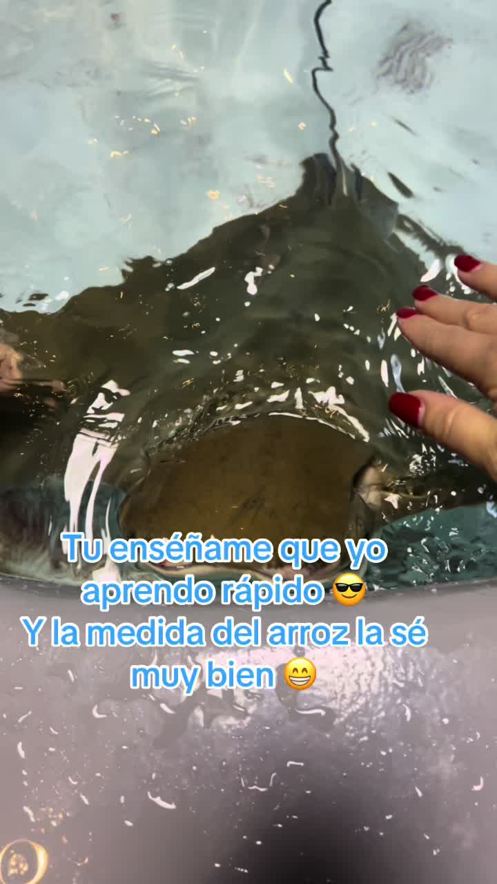 @Kaarina Trevi&ntilde;o