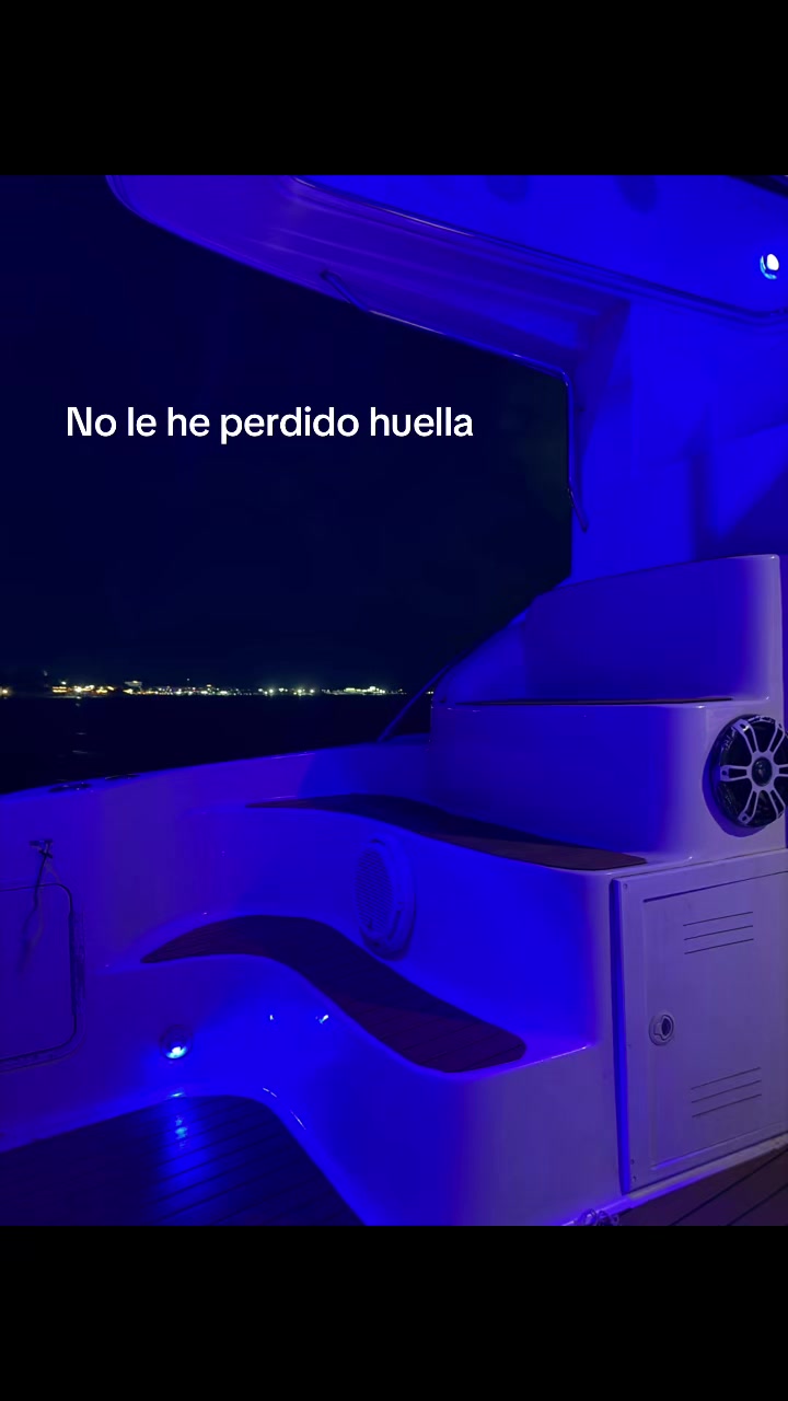 @🐈⬛🌙
