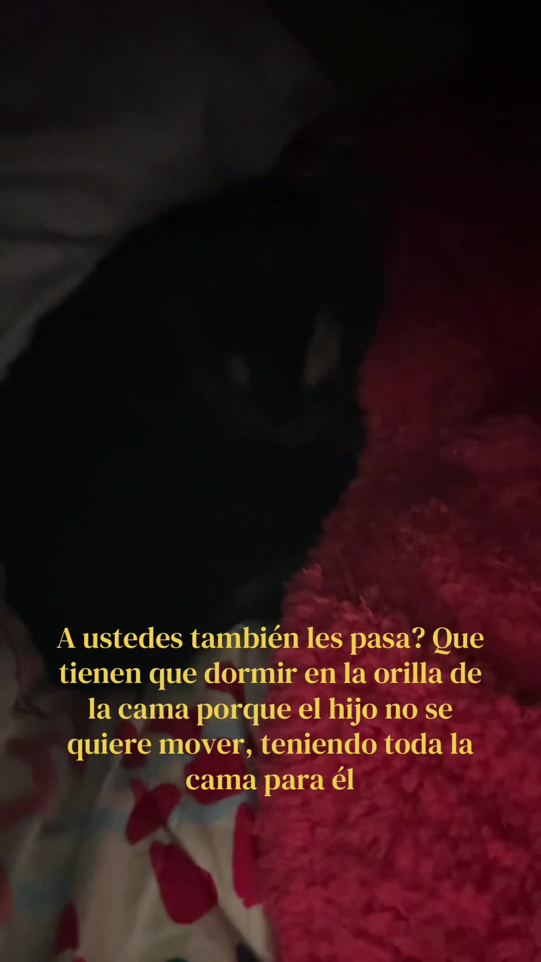 @Tamara Godoy