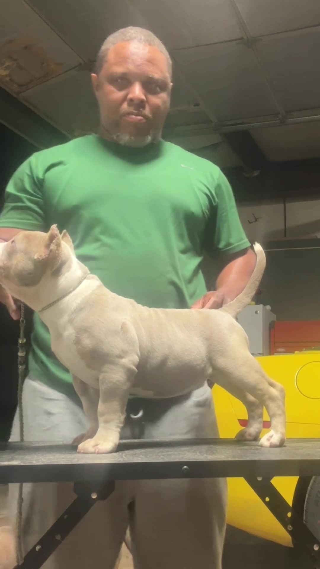 @Carters BullyHub