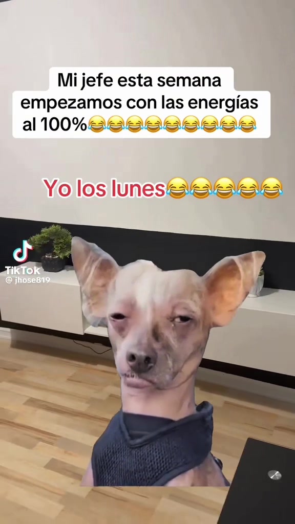@johannagonzalez595