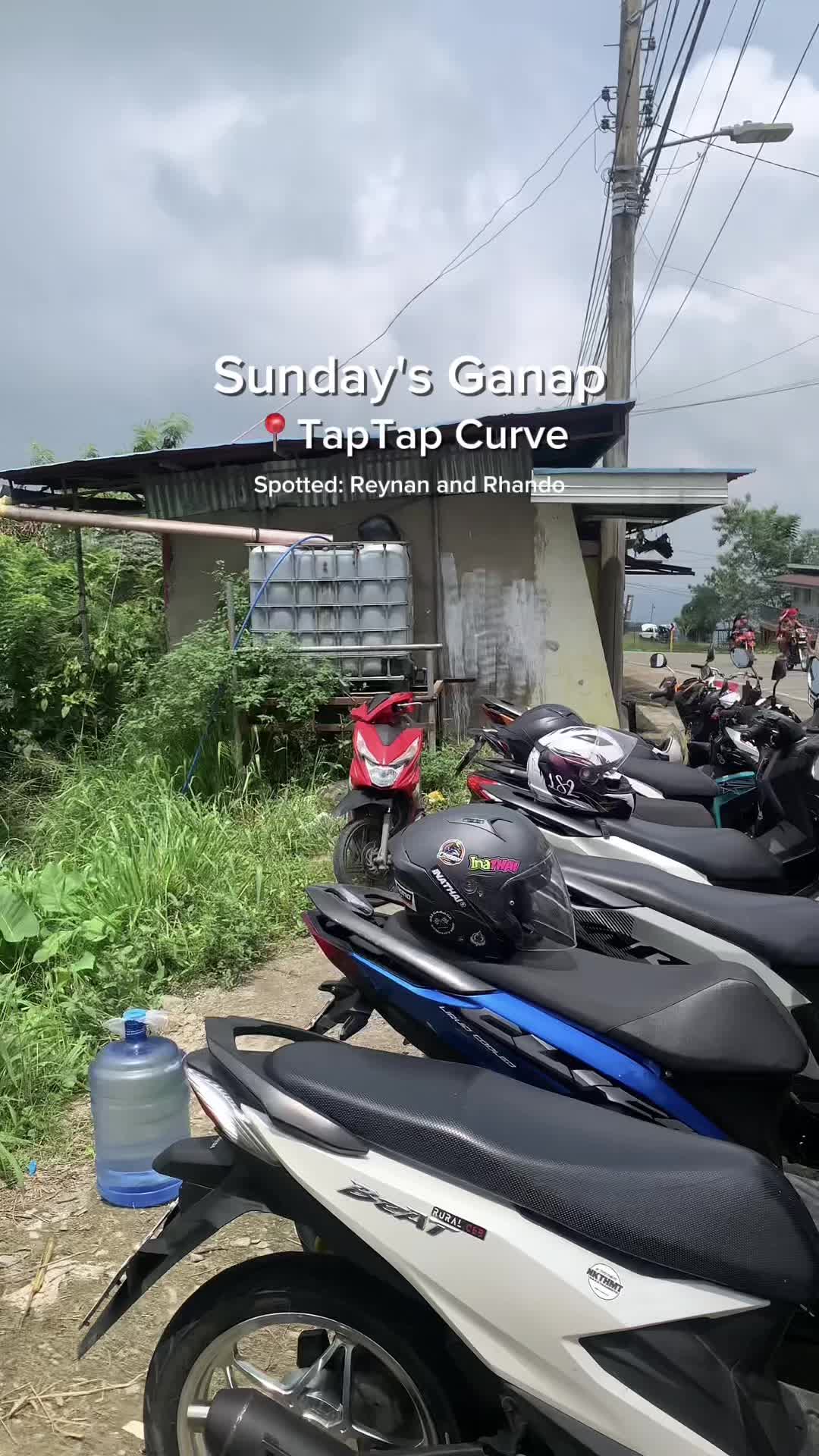 @Bulacao Vines