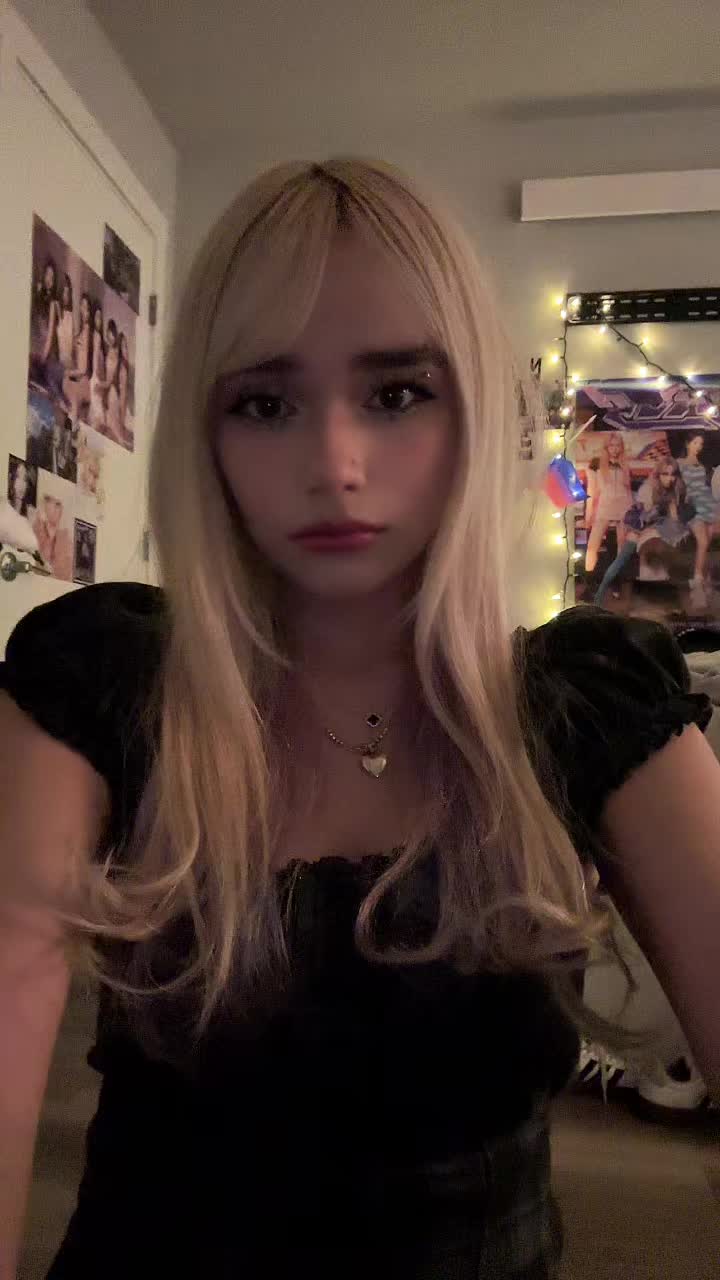 @dinopawwz