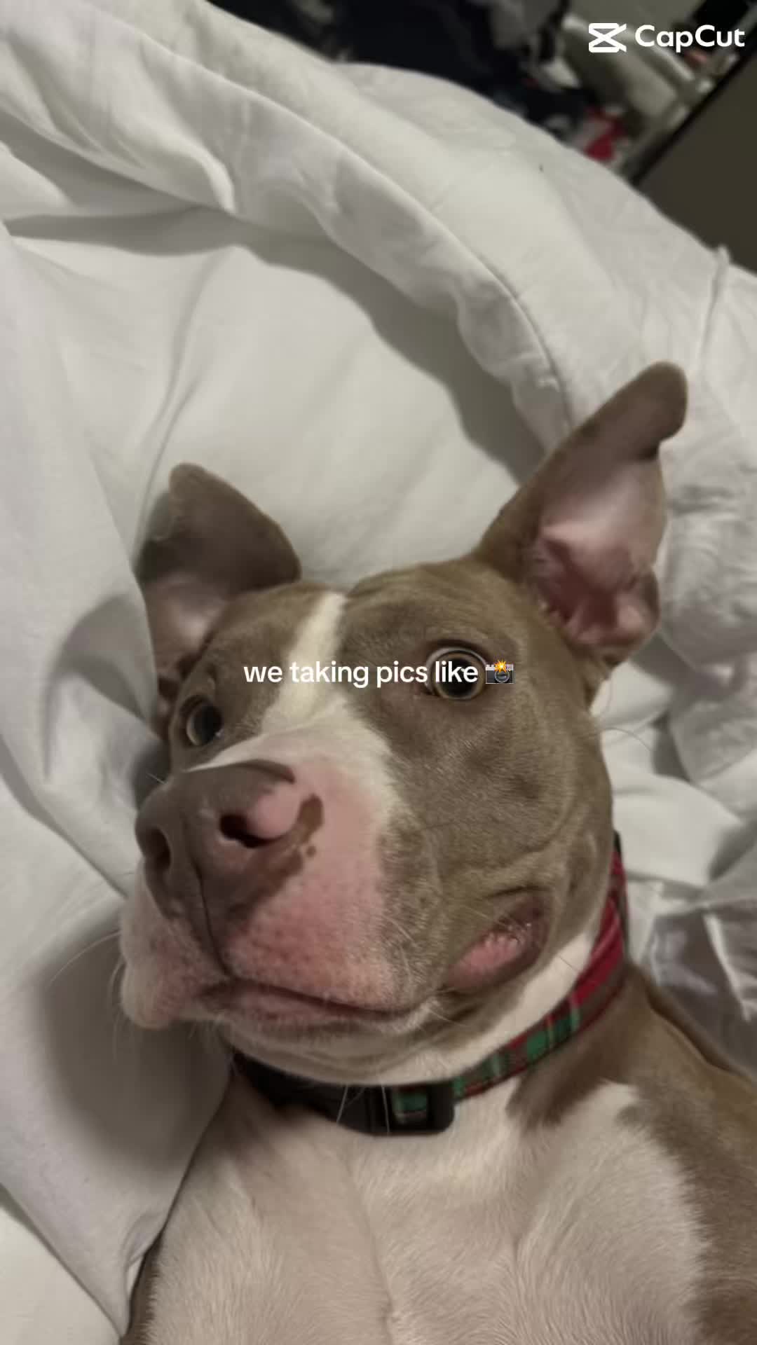 @D
