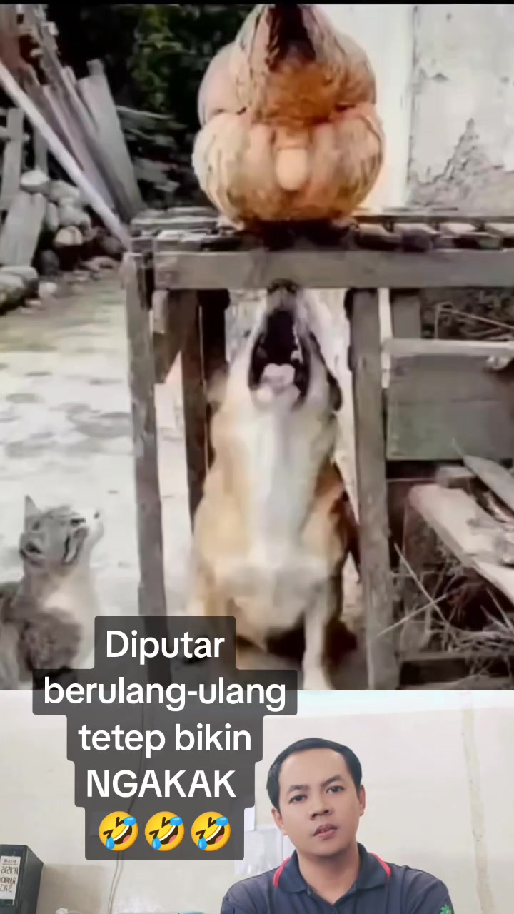 @Toko_GALIH