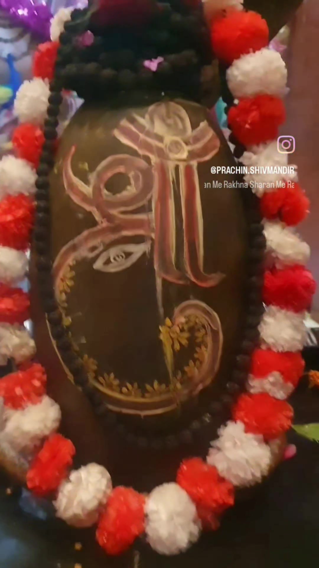 @teji_shahzadpuri