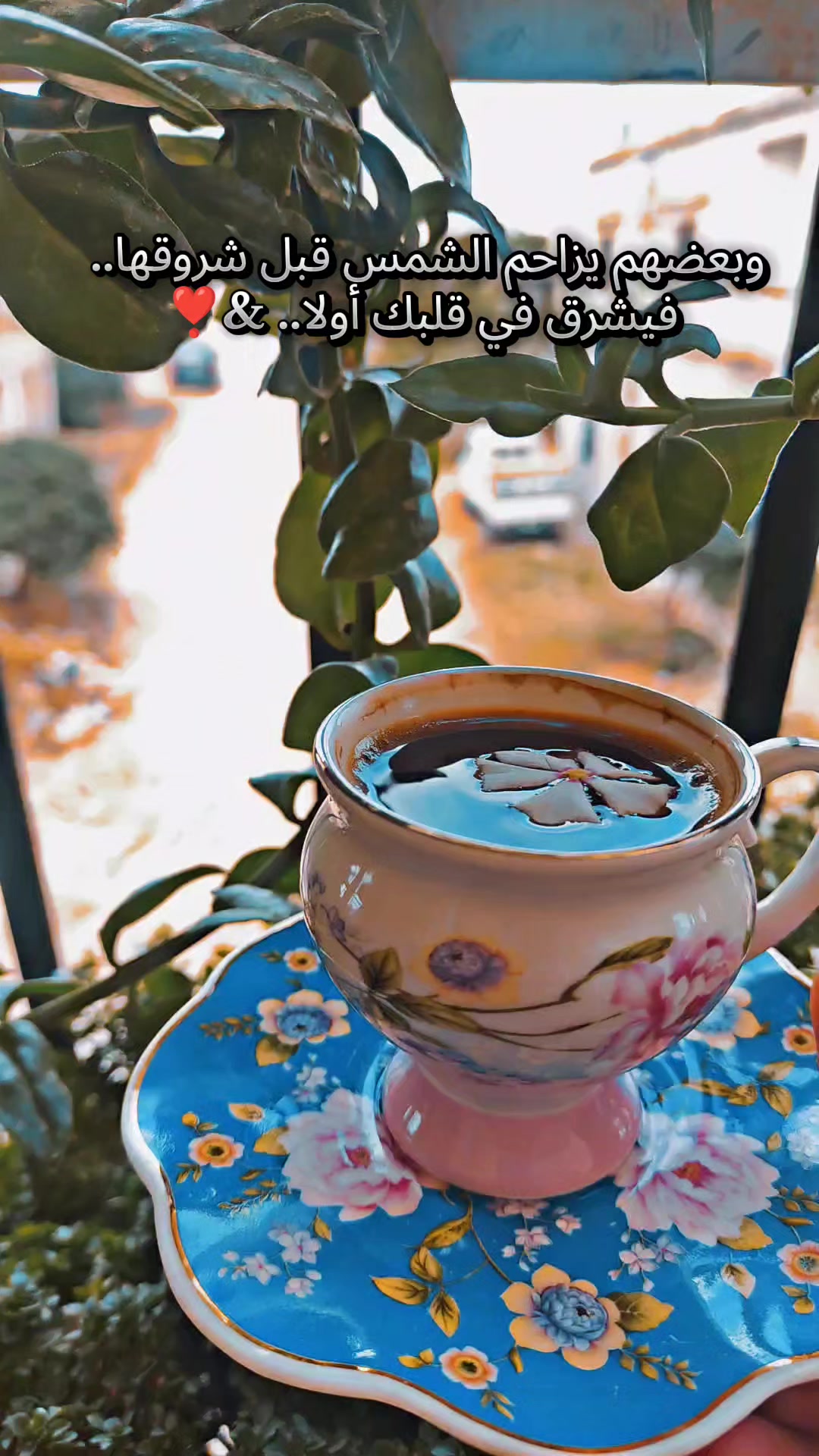 @🌸 زهرة النرجس🌸
