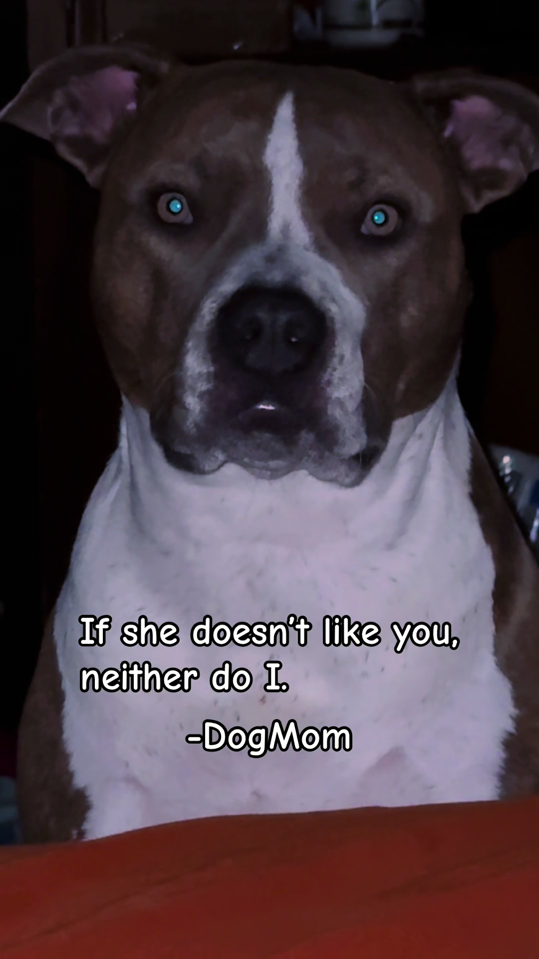 @Jessica