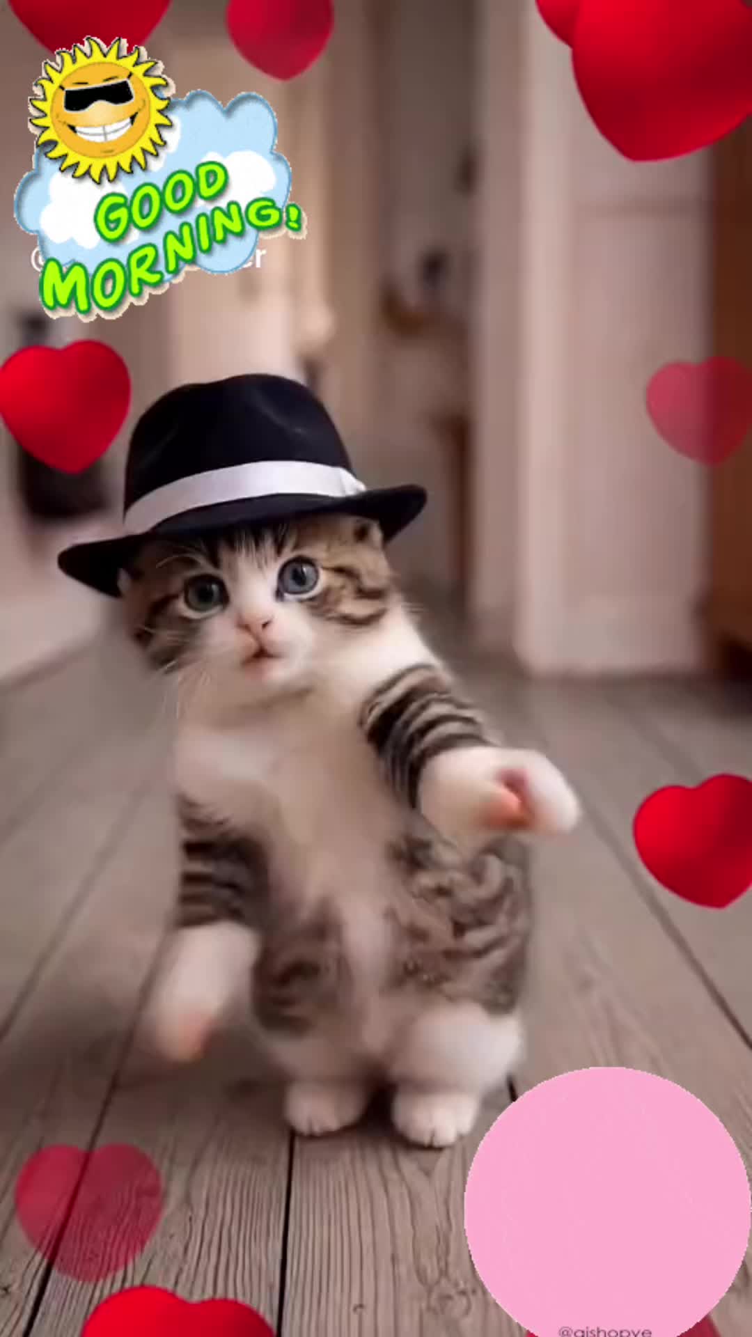 @💕Missouri_Blue_Eyes❌💕