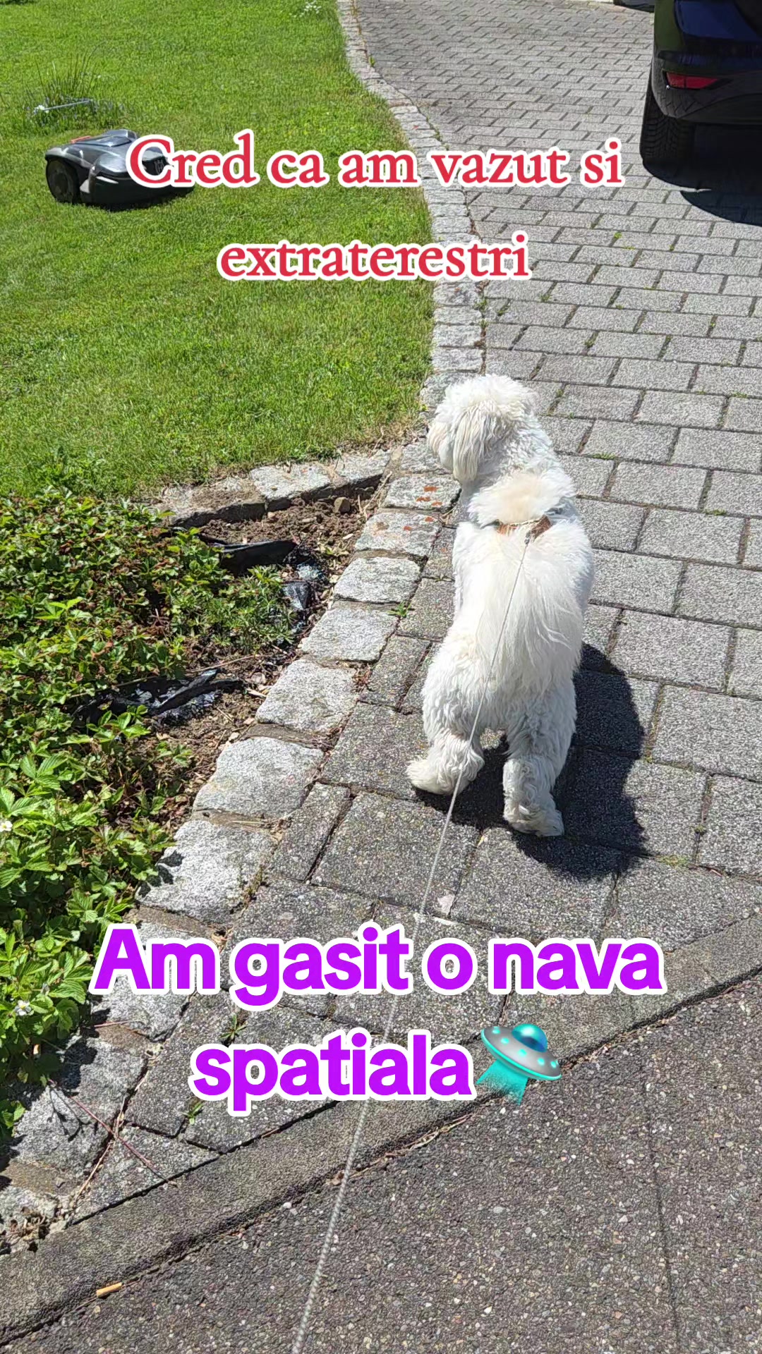 @Adina