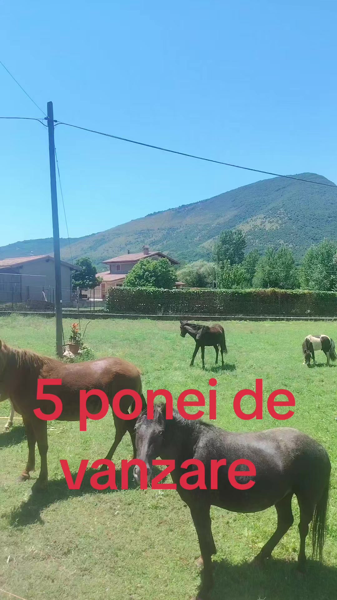 @Olaru Alex