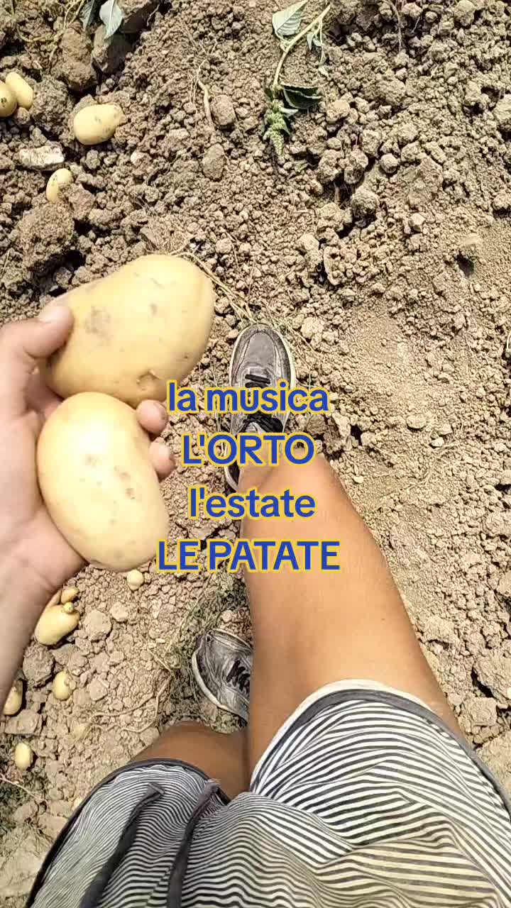 @Ilaria Ridolfi