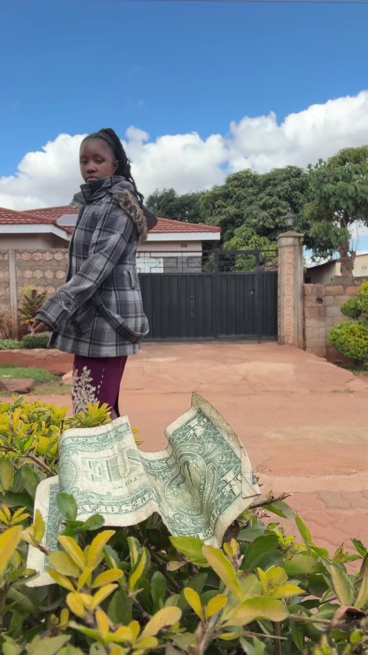 @Nellysharmy🇿🇼(NzwaraFamily)